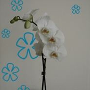 Flowerettes
