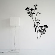 Refined branch