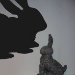Rabbit detail-adbeelding 2 