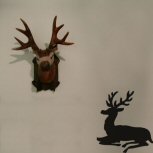 Deer detail-adbeelding 2 