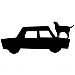 Dog on car detail-adbeelding 4 