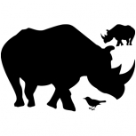 Rhino detail-adbeelding 4 