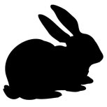 Rabbit detail-adbeelding 4 