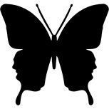 Butterfly detail-adbeelding 4 