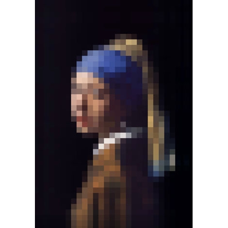 Losse_producten Meisje van Vermeer L
