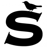 Bird on letter detail-adbeelding 4 