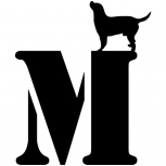 Dog on letter detail-adbeelding 4 