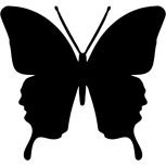 Butterfly detail-adbeelding 4 