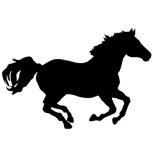 Horse running detail-adbeelding 4 